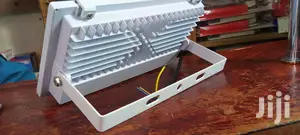 Flood Light