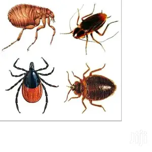 United Pest Control and Fumigation