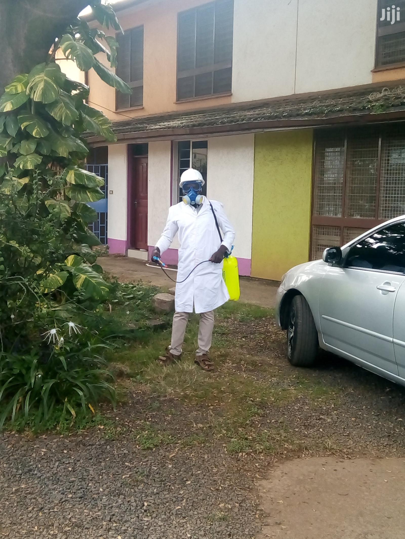 Fumigation Pest Control Services Eg Bedbugs