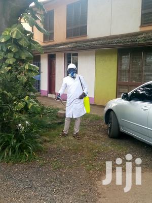 Fumigation Pest Control Services Eg Bedbugs