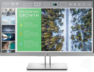 HP Elitedisplay E243 Monitor