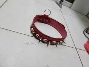Custom Made Leather Dog Collars