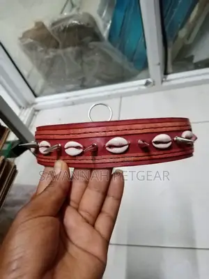Custom Made Leather Dog Collars