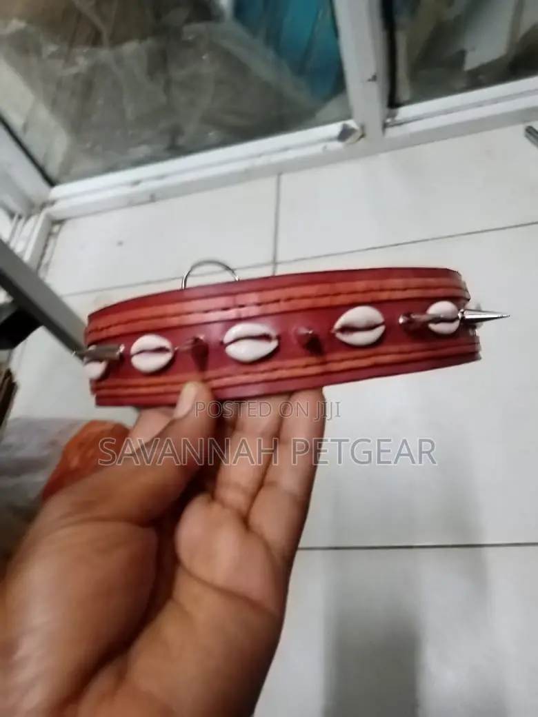 Custom Made Leather Dog Collars