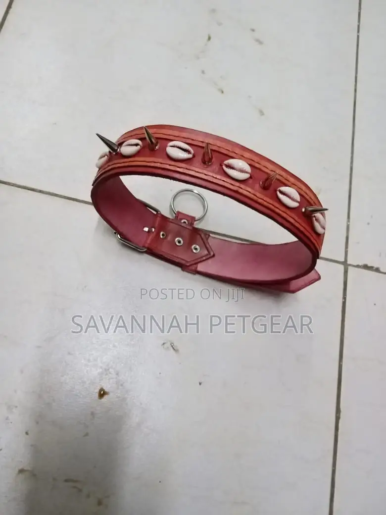 Custom Made Leather Dog Collars