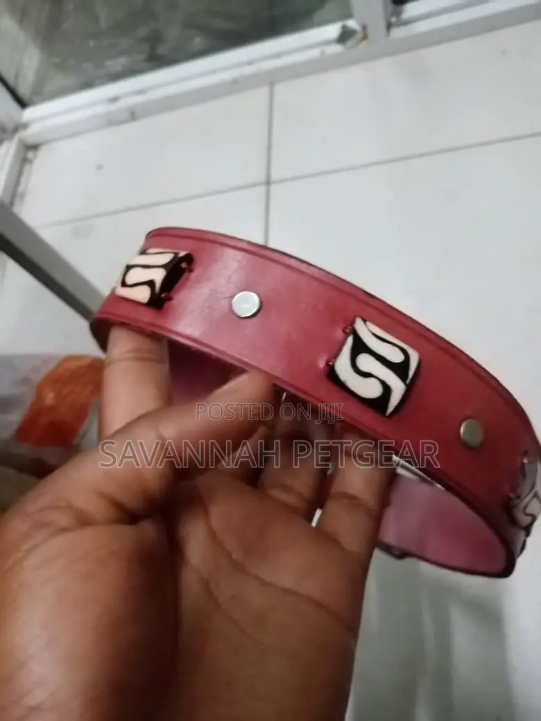 Custom Made Leather Dog Collars
