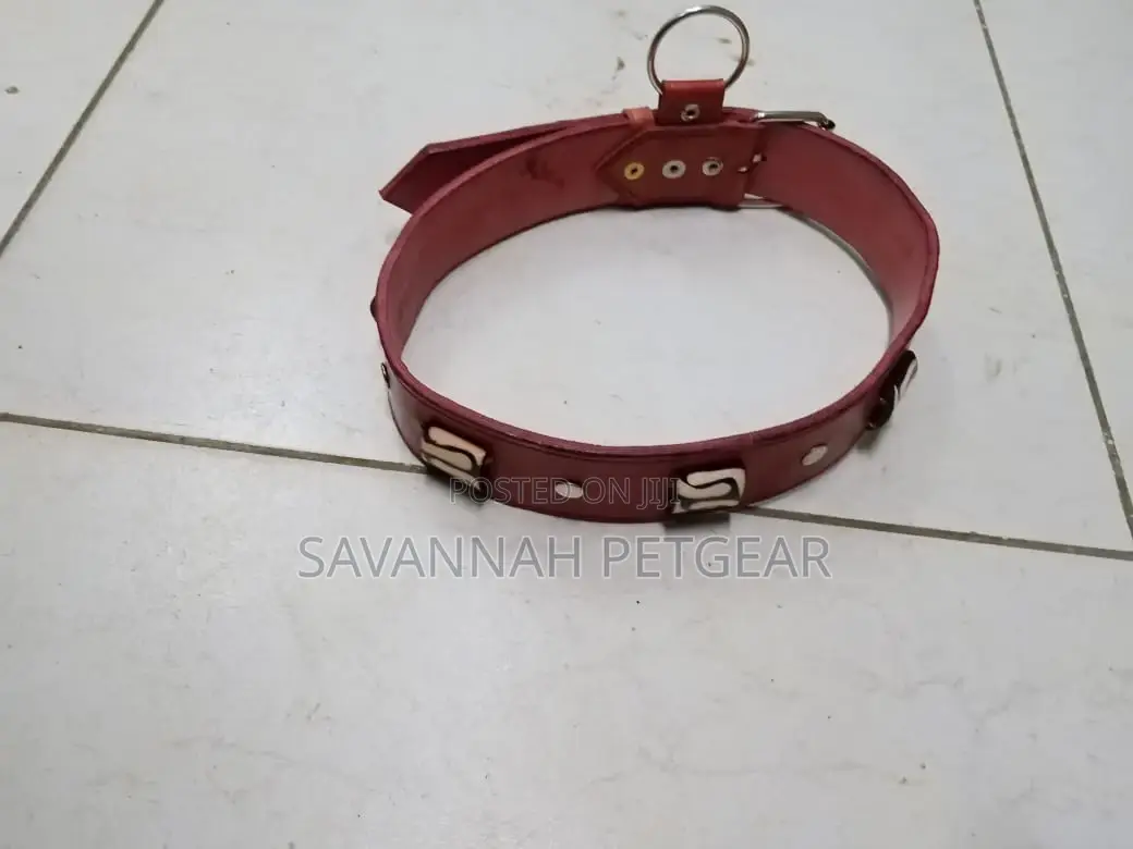 Custom Made Leather Dog Collars