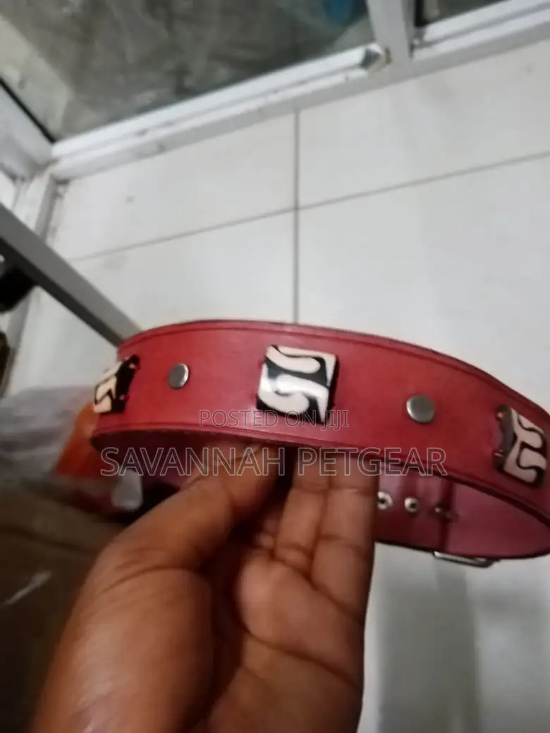 Custom Made Leather Dog Collars