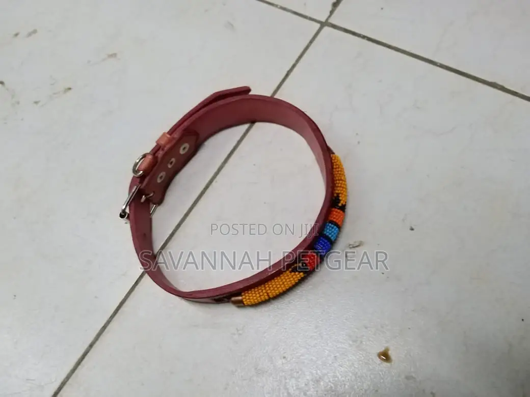 Custom Made Leather Dog Collars