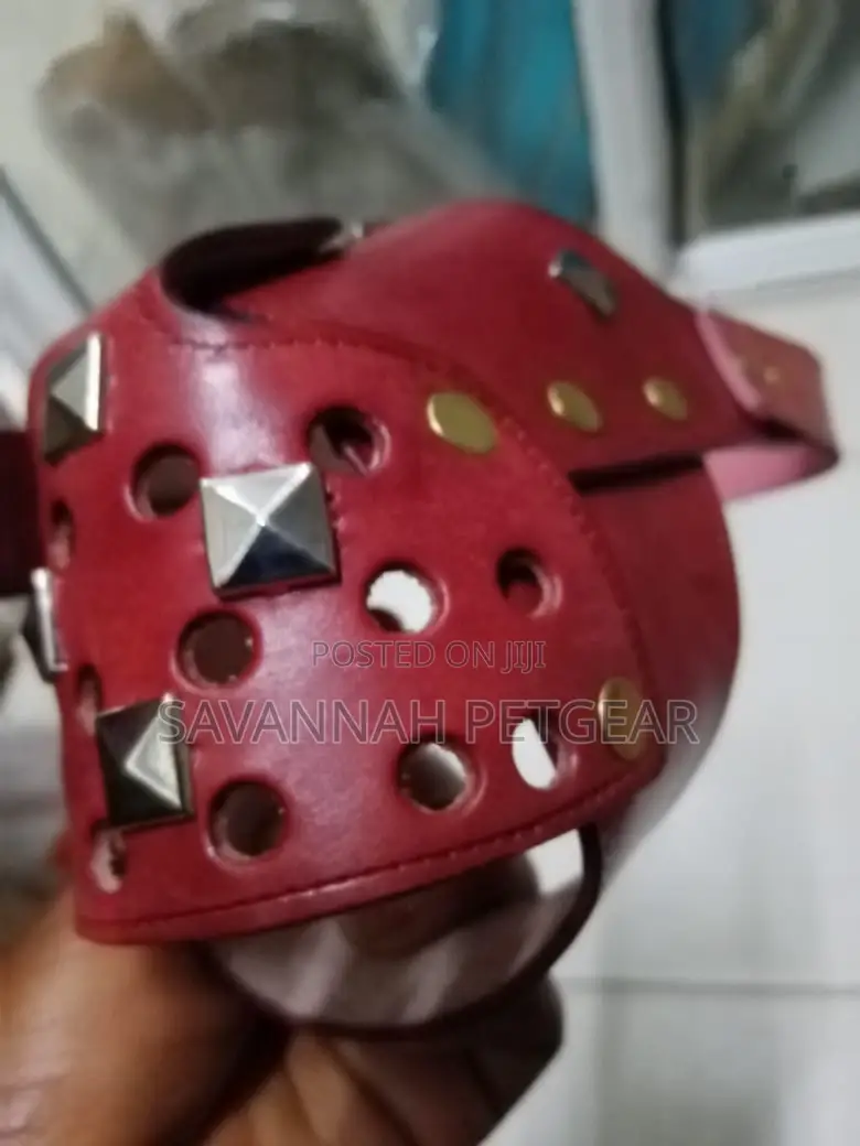 Elegant Leather Dog Muzzle