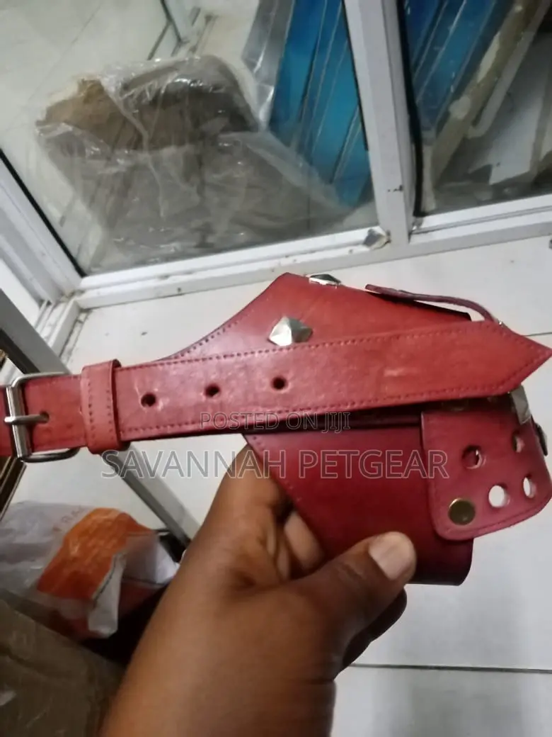 Elegant Leather Dog Muzzle