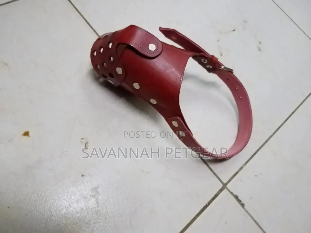 Elegant Leather Dog Muzzle