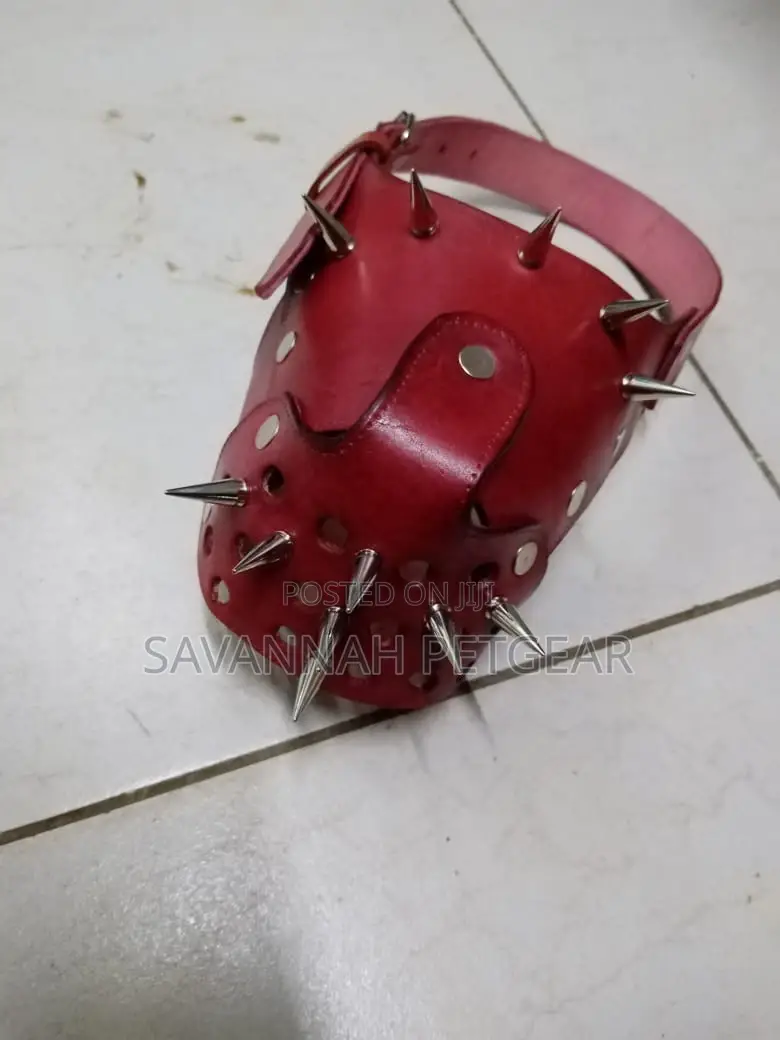 Elegant Leather Dog Muzzle