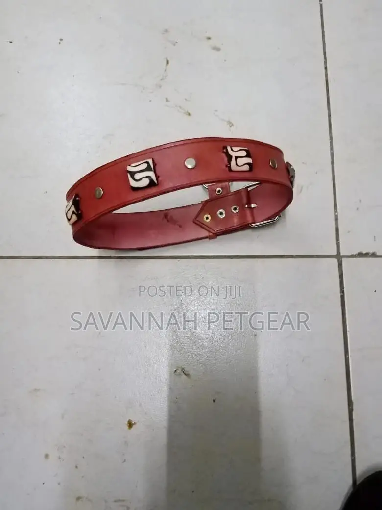 Custom Made Leather Dog Collars