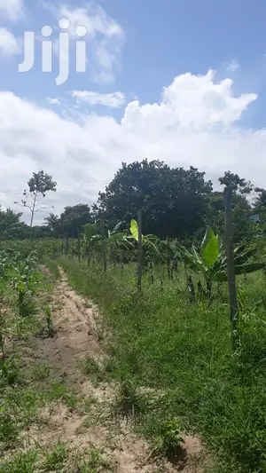 For Sale Quater Acres Plots Mtepeni Mtwapa