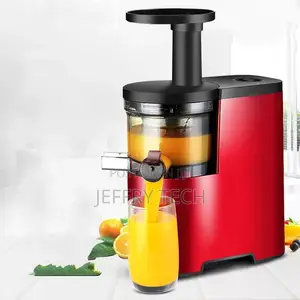 Rebune Slow Juicer