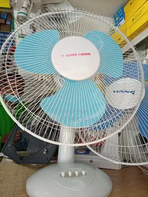 Standing Fan