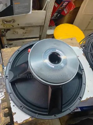 BM Naked Speaker