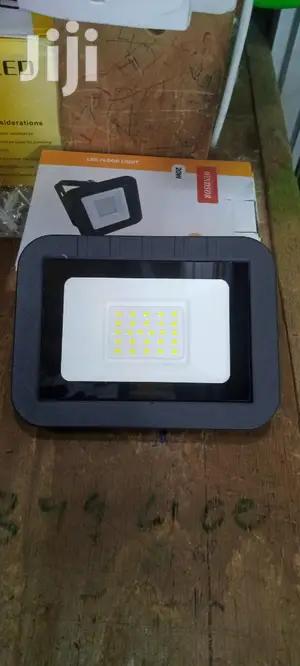 20w Floodlight
