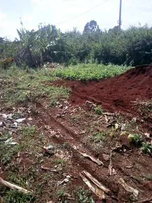 Land for Laese in Riruta Satellite