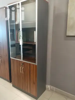2 Door Office Cabinet