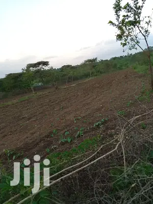 3 Acres at Masii Mbaani