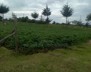 Plot On Sale A Mwendandu Kinangop