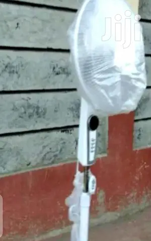 Affordable Standing Fan