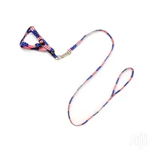 Puppy Leash and Harness