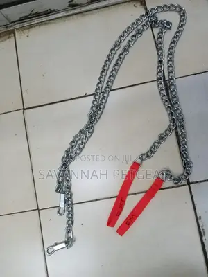 Stainless Steel Dog Chains