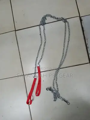 Stainless Steel Dog Chains