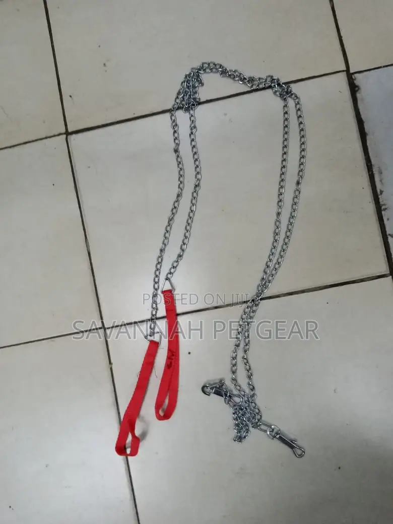 Stainless Steel Dog Chains