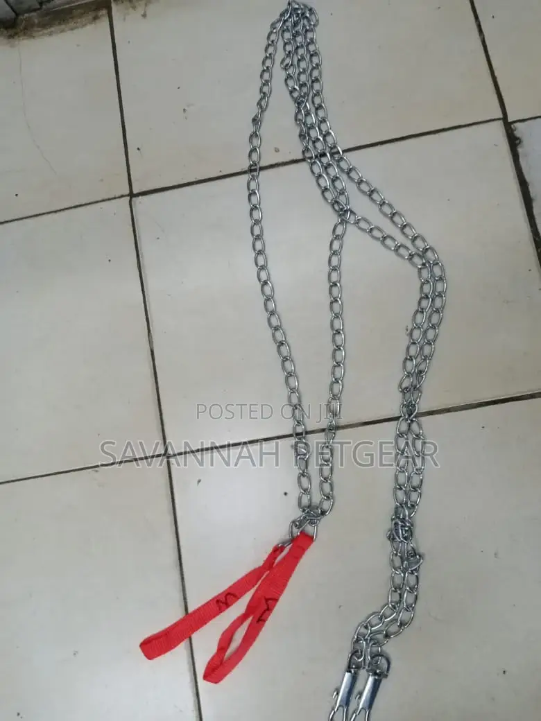 Stainless Steel Dog Chains
