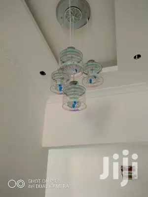Ceiling Light