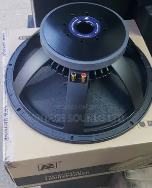 NR18 Bm Professional Bass Speakers