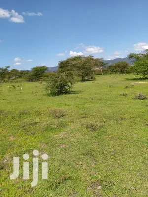 2.5 Acres At Katelembo