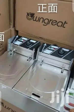Movable Double Deep Fryer