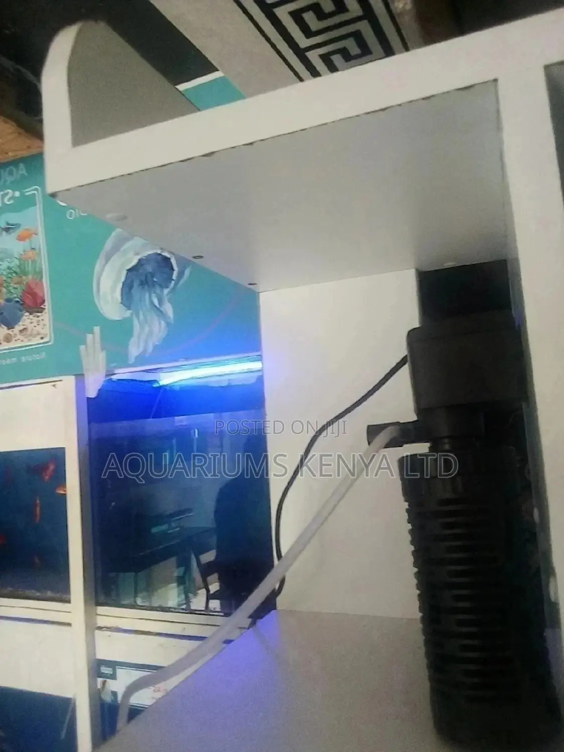 3 In 1 Aquarium Filter