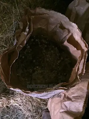 Rabbit Manure