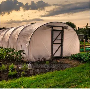 Greenhouses 8 X 15m.