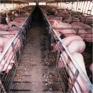 Agricultural Structures