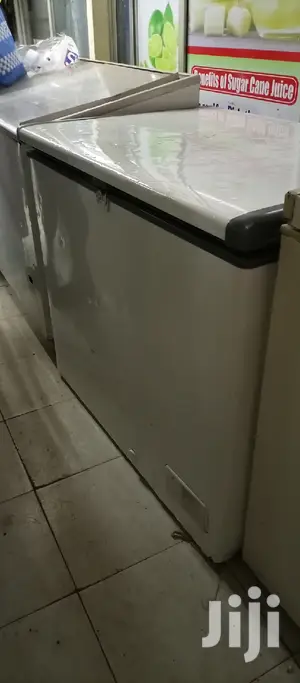 Freezer 300L