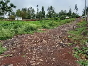 Residential Plot In Mugumo