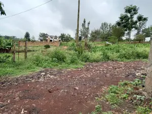 Residential Plot In Mugumo