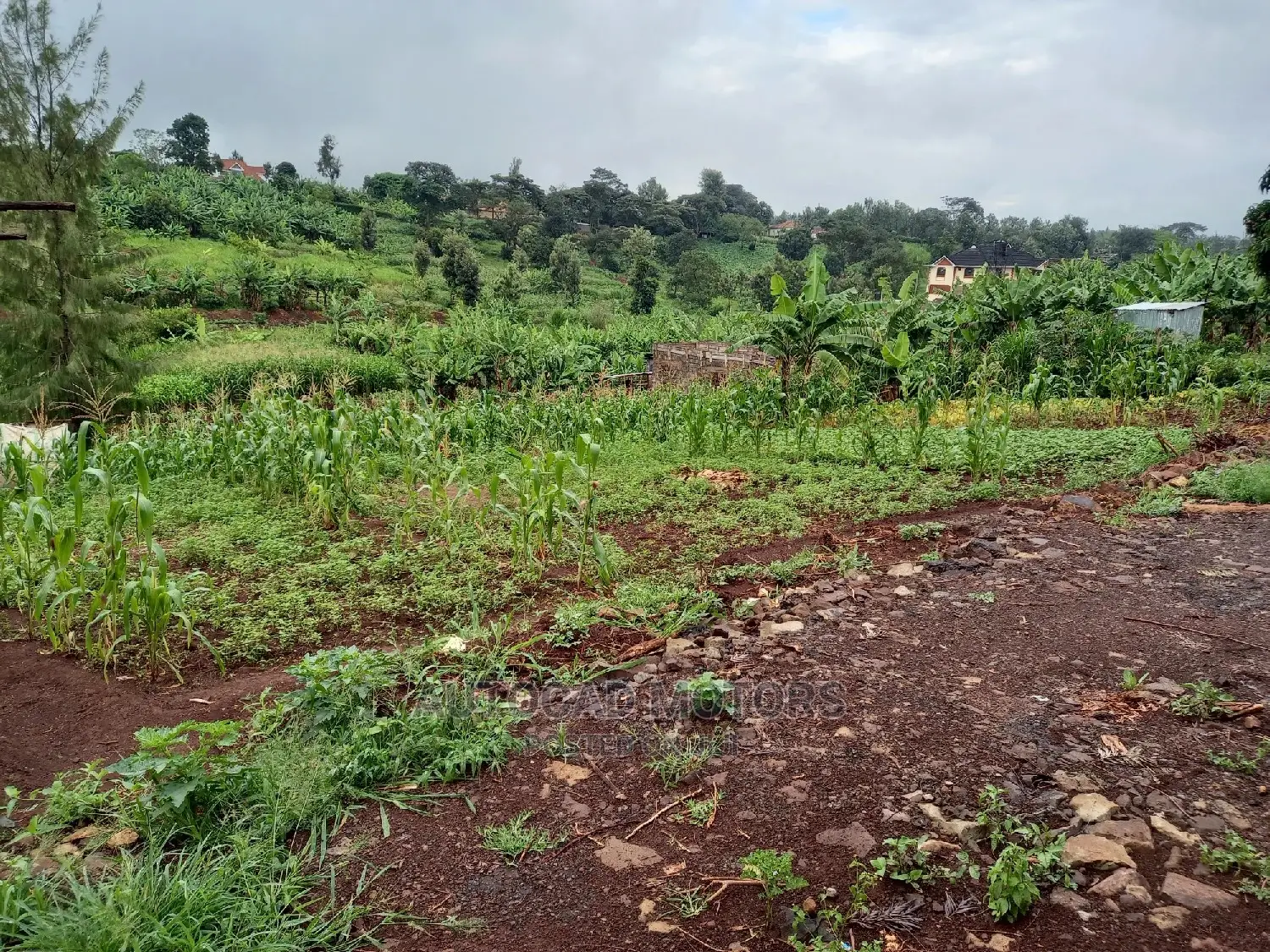 Residential Plot In Mugumo