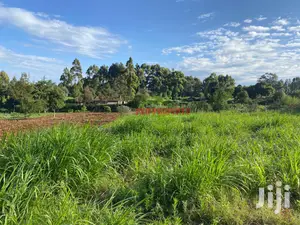 Prime Land for Sale in Limuru, Kamandura.