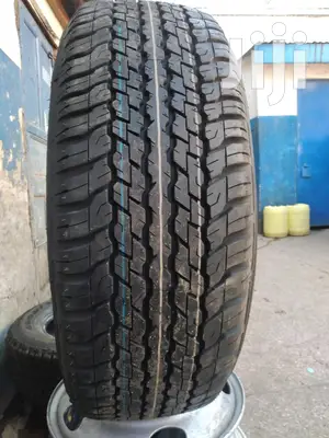 Dunlop Tires Sizes 265/60R18