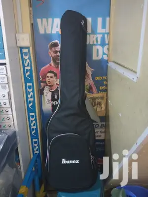 Bass Guitar Bag