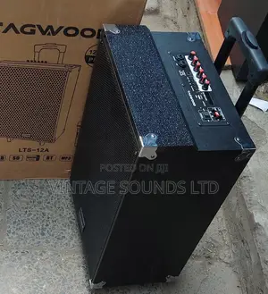 12inch Portable Powered Speaker With Wireless Microphone