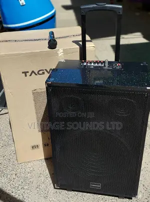 15inche Portable Powered Speakers